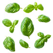 © AI_Vision_Studio - Basil leaves isolated on transparent background. Top view. Flat lay
