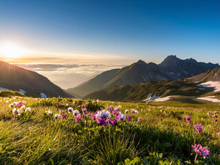 spring in the mountains