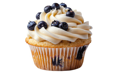 A single cupcake, frosted with a swirl of white frosting and topped with blueberries