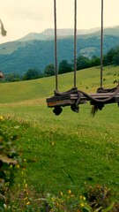 Poster - Wooden swing on a high mountain in bright sunlight and nature.