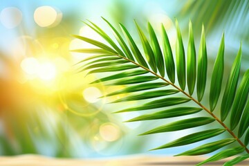 Wall Mural - tropical beach with palm leaf sun light and vacation concept.