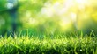 © Penatic Studio - Beautiful spring background with fresh green grass on meadow. Nature landscape with sunlight and copy space