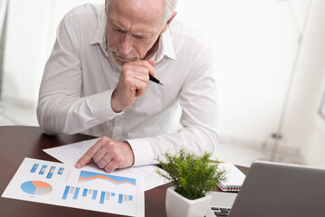 Wall Mural - Businessman analysing marketing graphs