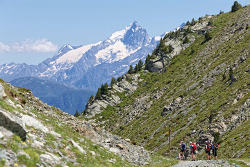 Poster - CHAMROUSSE, FRANCE, July 8, 2024 : A group of hikers at a mountain path with high peaks of La Meije in Oisans mountain range