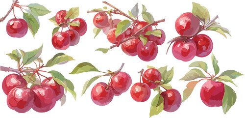 Poster - plum watercolor clipart