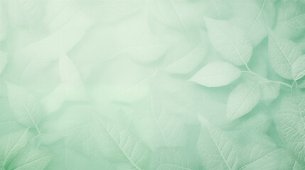 Poster - Soft Green Leaves Background with Light and Shadows