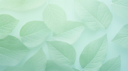 Poster - Translucent Leaves Pattern in Soft Green Shades