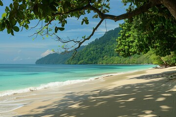 Wall Mural - a view of a beach with a tree overhanging the water