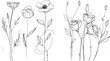 © Zaleman - A set of one line drawing roses clip art. Hand drawn single line flowers with abstract background shapes.
