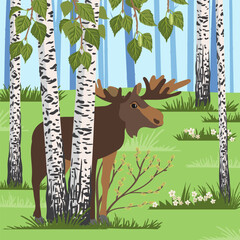 Wall Mural - vector drawing elk in birch grove, hand drawn animal moose at green forest with trees and flowers background , cartoon style character