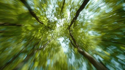 Wall Mural - Blurred trees in tranquil forest with camera moving upward