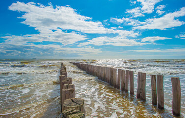 Wall Mural - Sand  beach along a sea under a blue cloudy sky in bright sunlight in summer, Walcheren, Zeeland, the Netherlands, July, 2024