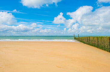 Wall Mural - Sand  beach along a sea under a blue cloudy sky in bright sunlight in summer, Walcheren, Zeeland, the Netherlands, July, 2024