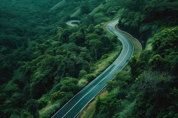 Poster - A narrow path amidst dense foliage, ideal for use in travel or nature-themed projects