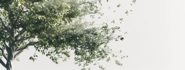 Poster - Serene Green Tree Branches on Clear Sky