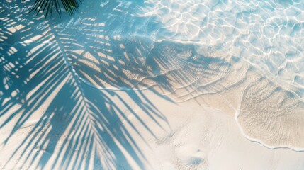 Wall Mural - Top view photo of water surface with shadows of tropical leaves. Shadows of palm leaves on the white sand beach Beautiful abstract background concept banner for summer vacation at the beach.