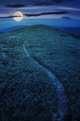 Wall Mural - summer landscape at night. mountain path through the meadow turns uphill to the sky. wonderful count