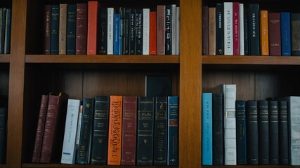 Wall Mural - bookshelf in library background