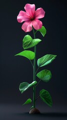 Wall Mural - Petunia plant with pink flower on black background