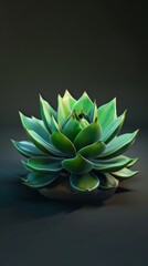 Wall Mural - A solitary succulent, vibrant green against a dark backdrop