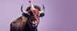 © Volodymyr - A cheerful bison in a polka-dot birthday party hat, isolated on a purple background, looking strong and friendly.