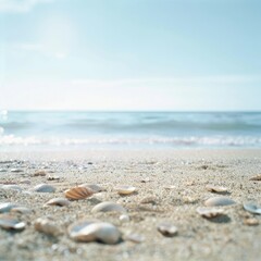Poster - A serene empty sand beach with scattered shells, providing a perfect backdrop for a summer sea scene. The expansive copy space can be seen in the foreground.