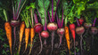 © Piyapat - Freshly harvested root vegetables including carrots and beetroots arranged in a row on soil, showcasing vibrant colors and organic produce.