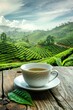 © Media Srock - A white cup of tea sits on a wooden table in front of a beautiful mountain landscape. The cup is filled with a light green tea, and a leaf is placed on the table next to it