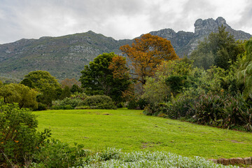 landscape in the mountains