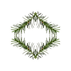 Wall Mural - abstract geometric composition of coniferous branches. christmas symmetrical geometric pattern. desi