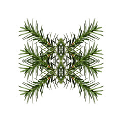 Wall Mural - abstract geometric composition of coniferous branches. christmas symmetrical geometric pattern. desi