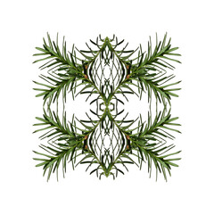 Wall Mural - abstract geometric composition of coniferous branches. christmas symmetrical geometric pattern. desi