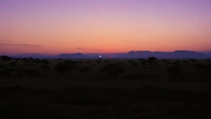 Poster - The transition from day to night brings a sense of calm and tranquility to the savannah a peaceful oasis in the African landscape.