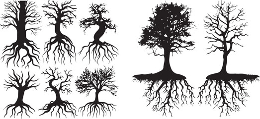 Wall Mural - Tree roots set black silhouettes