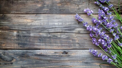 Wall Mural - Lavender on wood background with space for text