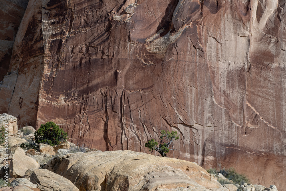 Canyon walls on the Rim Overlook Trail, Capitol Reef National Park, Utah 