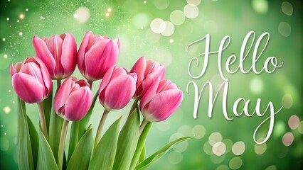 Wall Mural - Beautiful pink tulip flowers and text HELLO MAY on green background