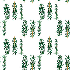 Canvas Print - Rosemary aromatic herb. Seamless pattern for prints on wallpaper, textiles, diy, scrapbooking for packaging. For kitchen and restaurant decor, cook and recipe book