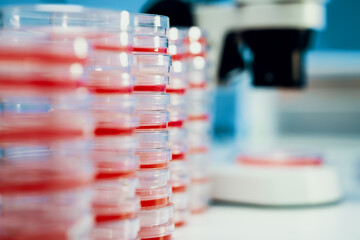 Sticker - Petri dishes for infection analysis in a genetic laboratory