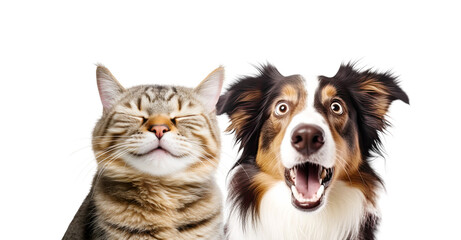 Wall Mural - Close-up Funny Happy Smiling Cat and Dog with Closed Eyes Portrait. Isolated on White and PNG Transparent Background.