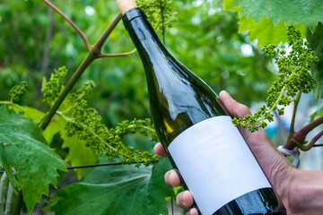 Canvas Print - Bottle of wine in the vineyard