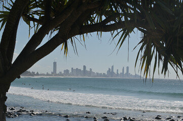 Wall Mural - Surfers Paradise skyline Gold Coast Queensland Australia