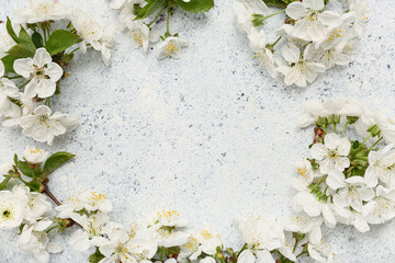 Wall Mural - Frame made of beautiful blossoming branches on white background