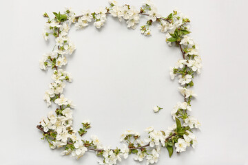 Wall Mural - Frame made of beautiful blossoming branches on white background