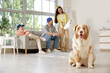 © Pixel-Shot - Cute Australian Shepherd dog with family during repair in room