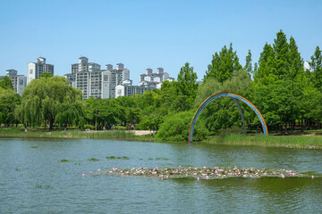 Wall Mural - Ilsan, Goyang-si, Gyeonggi-do, South Korea - May 23, 2023: Summer view of lake against trees and rainbow sculpture and apartments at Ilsan Lake Park
