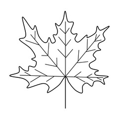 maple leaf outline raster drawing
