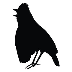 Wall Mural - silhouette of a chirping bird on a black and white background