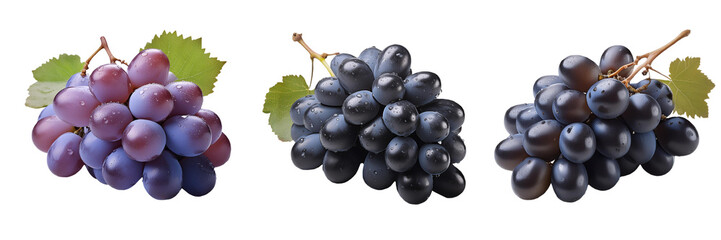 black grapes isolated on transparent background