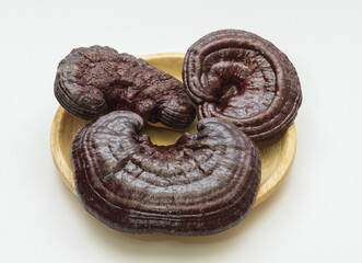 Poster - Close up of three dried raw brown Reishi mushroom on wooden tray and white floor, South Korea
